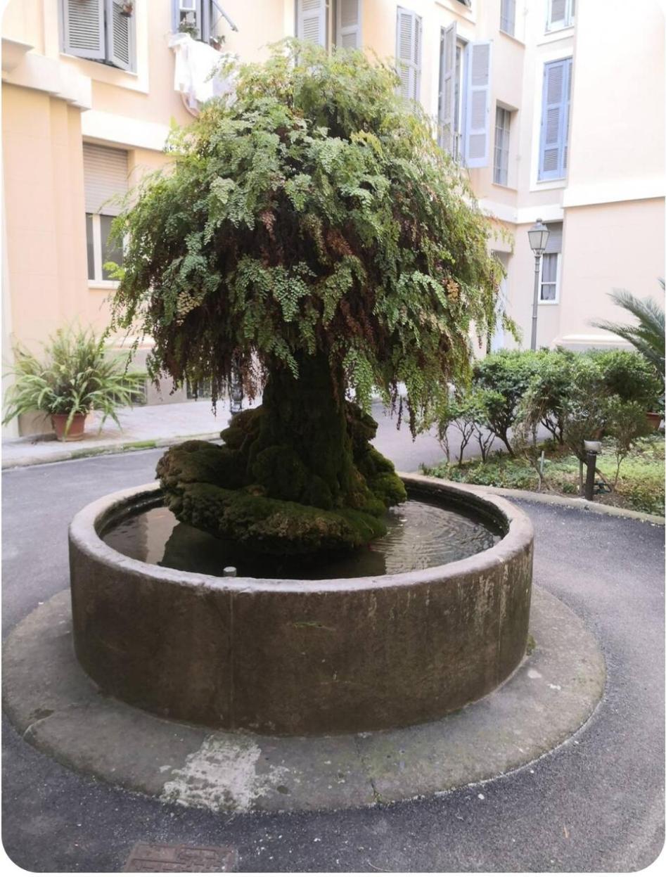 Unconventional Stay Řím Exteriér fotografie